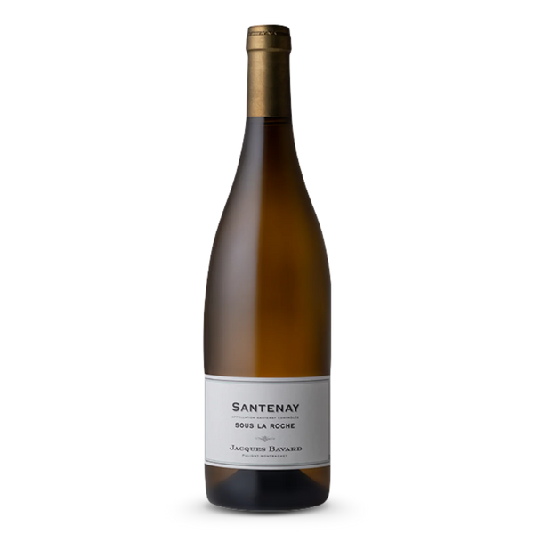 Jacques Bavard Santenay Blanc Sous la Roche 2023
