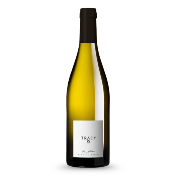 Tracy & Cie Les Marnes Blanc AOC Menetou-Salon 2023